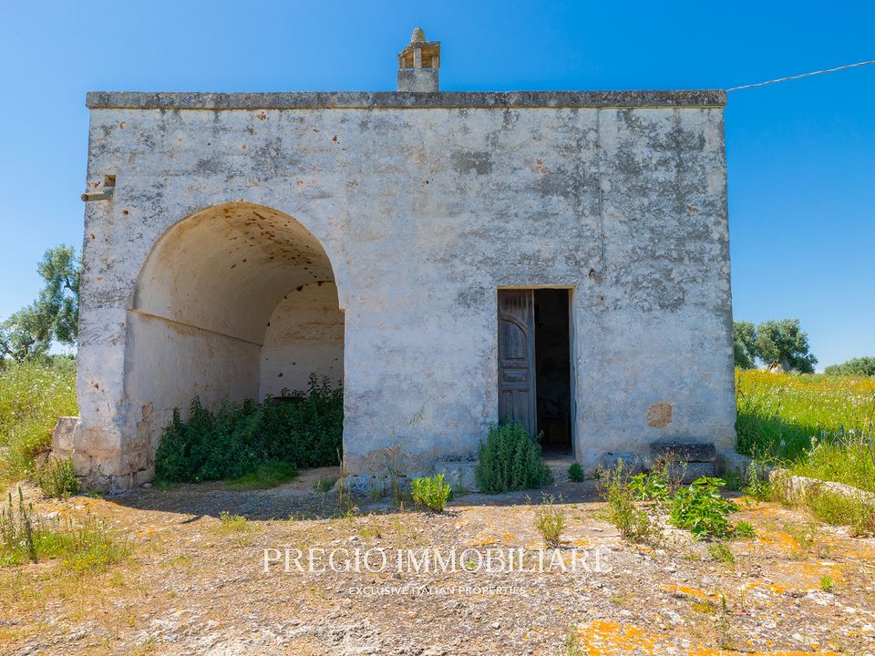Farm hus i Fasano, Brindisi - foto 4